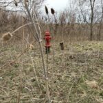 0000 Waterford Lane Manhattan IL 60442