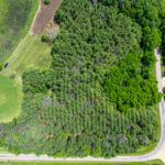 0 Crazy Hollow Road  Hanover IL 61041