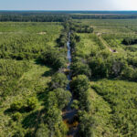 Tract 5 East Radio Tower Road  Clay City IL 62824