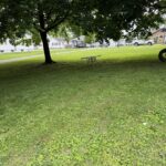 611 Spruce Street  Villa Grove IL 61956