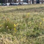 Lot 1 Reckinger Road  Aurora IL 60505