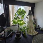 3921 147th Street  Midlothian IL 60445