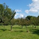 5548 Heatherbrook Trail Monee IL 60449