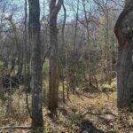 1475 State Route 127 S Highway Jonesboro IL 62952