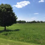 8709 Prairiefield Drive  Union IL 60180