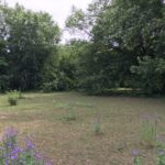 Lot 33A Happy Hollow Road  Janesville WI 53546