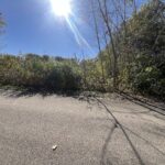 211 Norfolk Way  Essex IL 60935