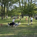 1326 Central Road  Mount Prospect IL 60056