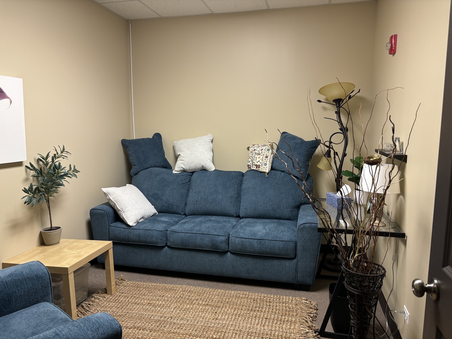 129 Commercial Drive 5D Yorkville IL 60560