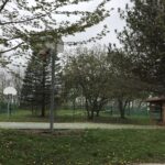 6165 Stansbury Lane Lakewood IL 60014