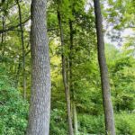 North Route 23 Highway  Streator IL 61364