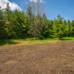 0 Crazy Hollow Road  Hanover IL 61041