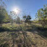 25-30/31 Woodhaven Lakes   Sublette IL 61367