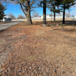 308 Oliver Street  Mansfield IL 61854