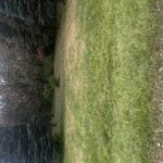 160 Columbia Street  Poplar Grove IL 61065