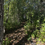 23976 Beach Grove Road  Antioch IL 60002