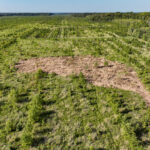 Tract 5 East Radio Tower Road  Clay City IL 62824