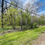 34871 LAKE SHORE Drive  Lake Villa IL 60046