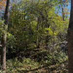 23976 Beach Grove Road  Antioch IL 60002