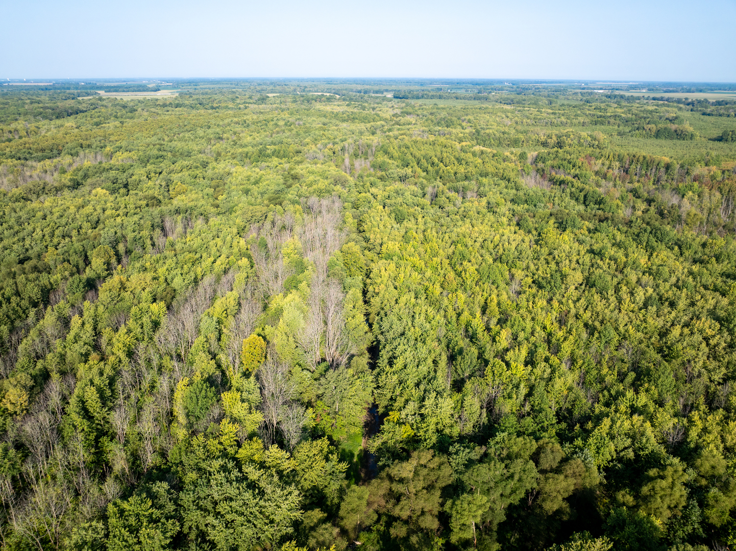 Tract 3 Mayflower Road  Clay City IL 62824