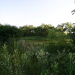 1402 apx Exchange Street  Crete IL 60417