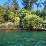 Lot 270 Elm Tree Drive  Varna IL 61375