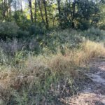 Lot 2 1365 N Avenue  Princeton IL 61356