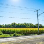 Lot 0 State Street  Hampshire IL 60140