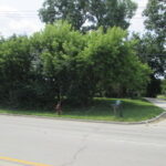 20406 Rand Road  Deer Park IL 60047