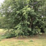 Lot 33A Happy Hollow Road  Janesville WI 53546
