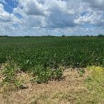 2000 County Road  Varna IL 61375