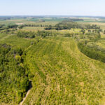 Tract 1 Mint Lane Clay City IL 62824