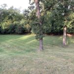 7 Yorkshire Woods (LOT 8) Drive  Oak Brook IL 60523