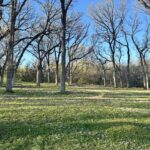 12390 Oakcrest Drive  Huntley IL 60142