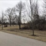 16340 Alberta Court  Homer Glen IL 60491