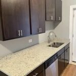4501 Maypole Avenue  Chicago IL 60624