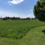 8709 Prairiefield Drive  Union IL 60180