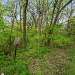 29W725 Army Trail Road  Bartlett IL 60103