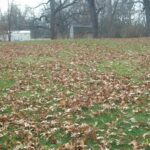 219 Mulberry Street  Watseka IL 60970