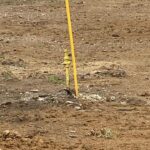 328 Washington   Meredosia IL 62665-9999