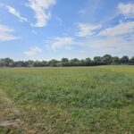 23700 Getson Avenue  Plainfield IL 60544