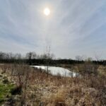 10665 Red Leaf Circle  Lakewood IL 60014