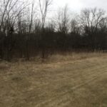 LOT 4 Williams Circle  Genoa IL 60135