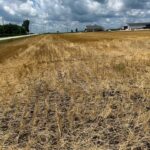 17 ROUTE Road  Varna IL 61375