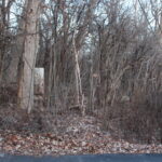 27W020 Walz Way  Wheaton IL 60189