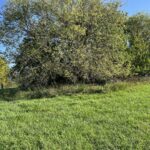 3-521 Shady Lane  Lake Carroll IL 61046