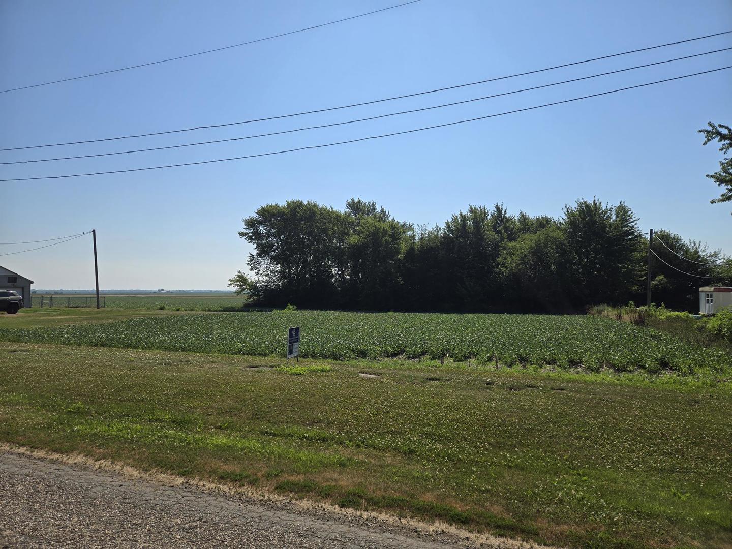 Lots 1-4 Catherine Street  Ludlow IL 60949