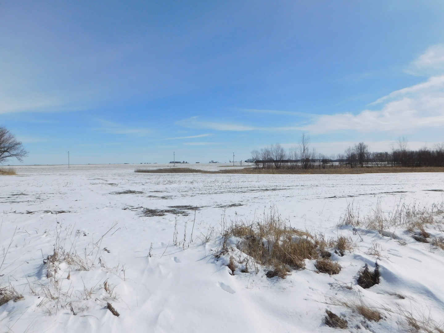 1388 N 4535th Road  Earlville IL 60518