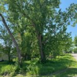 1023 Hooks Lane  Fox Lake IL 60050