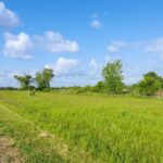 7514 Glacier Lake Way  Richmond IL 60071